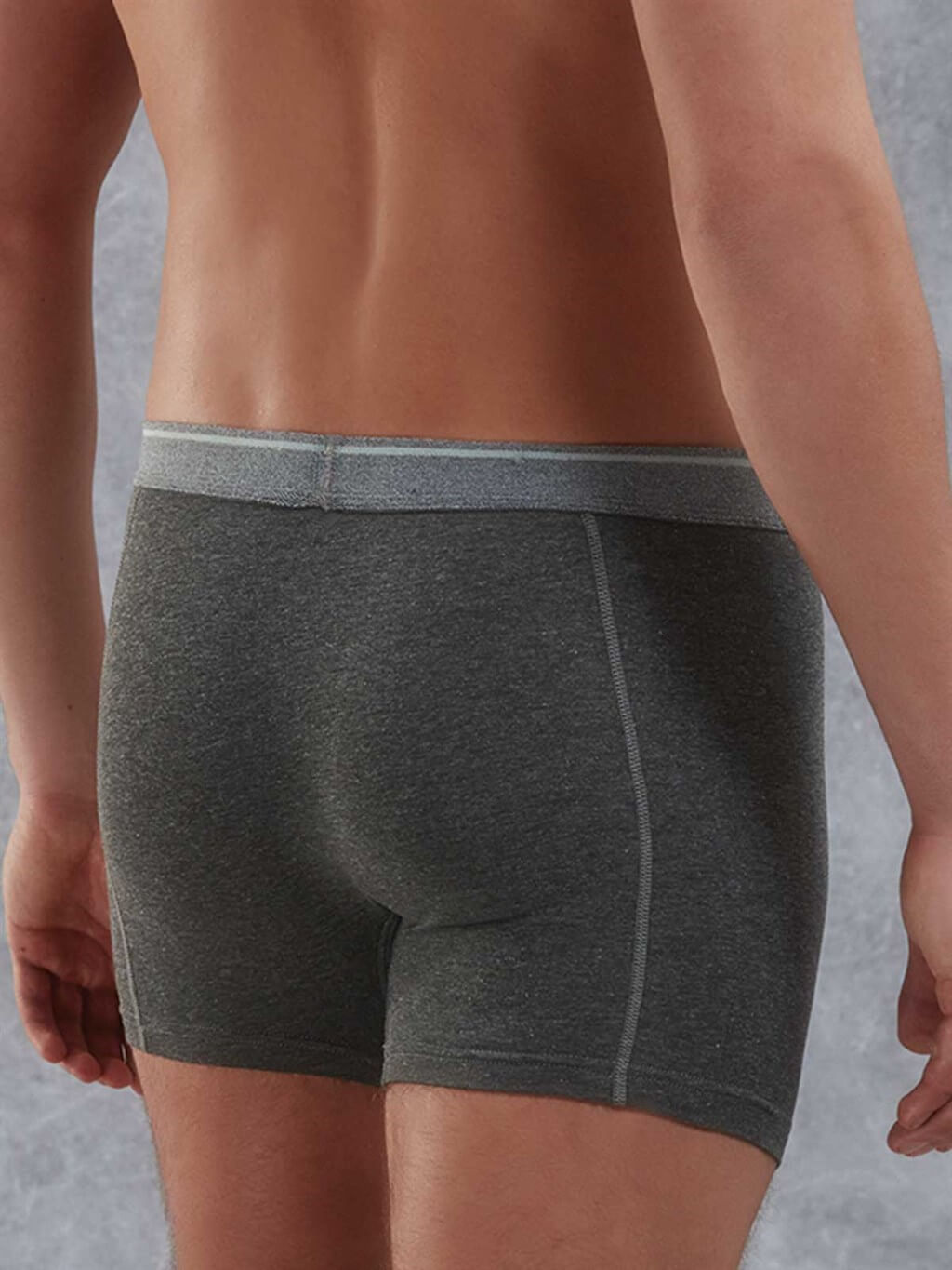 Boxerky pánske DOREANSE 1756 S šedá